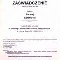 Powiększ obraz: certificate 1