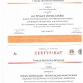 Powiększ obraz: certificate 6