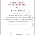 Powiększ obraz: certificate 19