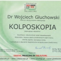Powiększ obraz: certificate 31