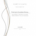 Powiększ obraz: certificate 22
