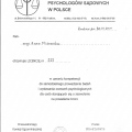 Powiększ obraz: certificate 6