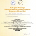 Powiększ obraz: certificate 28