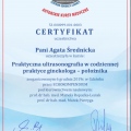Powiększ obraz: certificate 8