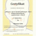 Powiększ obraz: certificate 11