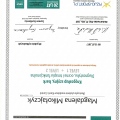 Powiększ obraz: certificate 13