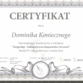 Powiększ obraz: certificate 4