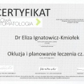 Powiększ obraz: certificate 5