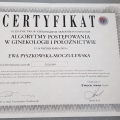 Powiększ obraz: certificate 2