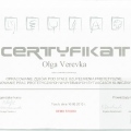 Powiększ obraz: certificate 3