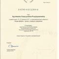 Powiększ obraz: certificate 1