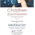 Powiększ obraz: certificate 12