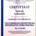 Powiększ obraz: certificate 2
