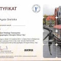 Powiększ obraz: certificate 31