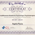 Powiększ obraz: certificate 5