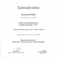 Powiększ obraz: certificate 8