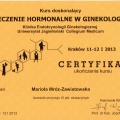 Powiększ obraz: certificate 4