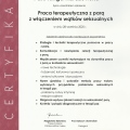 Powiększ obraz: certificate 6
