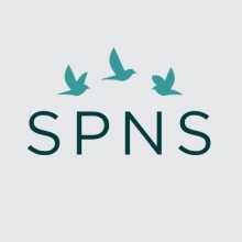 Gabinety SPNS