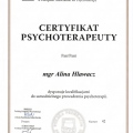 Powiększ obraz: certificate 4