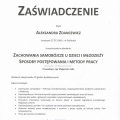 Powiększ obraz: certificate 6