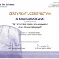 Powiększ obraz: certificate 14