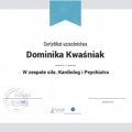 Powiększ obraz: certificate 101