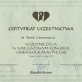 Powiększ obraz: certificate 11