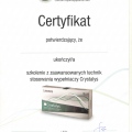 Powiększ obraz: certificate 1