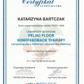 Powiększ obraz: certificate 22