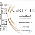 Powiększ obraz: certificate 11