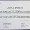 Powiększ obraz: certificate 2