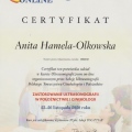 Powiększ obraz: certificate 45