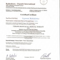 Powiększ obraz: certificate 29