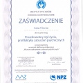 Powiększ obraz: certificate 6