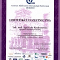 Powiększ obraz: certificate 6