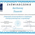 Powiększ obraz: certificate 8
