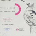Powiększ obraz: certificate 6