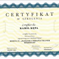 Powiększ obraz: certificate 11