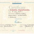 Powiększ obraz: certificate 25