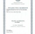 Powiększ obraz: certificate 2