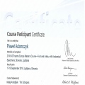 Powiększ obraz: certificate 12