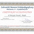 Powiększ obraz: certificate 10
