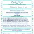 Powiększ obraz: certificate 4