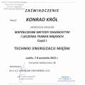 Powiększ obraz: certificate 8