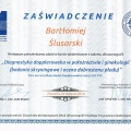 Powiększ obraz: certificate 10