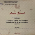 Powiększ obraz: certificate 4