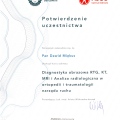 Powiększ obraz: certificate 11