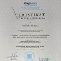 Powiększ obraz: certificate 12