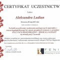 Powiększ obraz: certificate 12